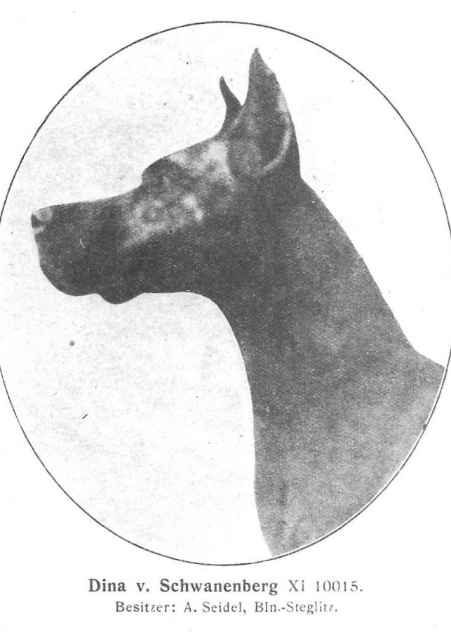 Dina v Schwanenberg
